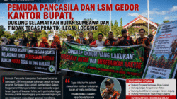 Pemuda Pancasila dan LSM Gedor Kantor Bupati, Dukung Selamatkan Hutan Sumbawa dan Tindak Tegas Praktik Ilegal Logging