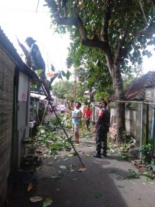 Antisipasi Cuaca Buruk, Babinsa Karang Taliwang Bersama Warga Melakukan Penebangan Pohon