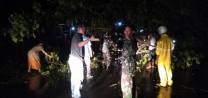 Dandim 1628/SB Bantu Bersihkan Pohon Tumbang Di Jalan Lintas Sumbawa Bima