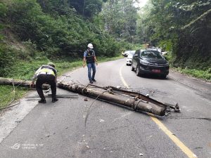 Reaksi Cepat Kanit Lantas Parapat Bantu Evakuasi Tiang Listrik Tumbang Yang Menimpa Mobil