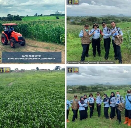 Hebat, Lapas Sumbawa Kembangkan Lahan Jagung SAE Ai-Maja