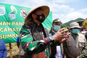 Danrem 162/WB Cek dan Siapkan Demplot Untuk Ketahanan Pangan