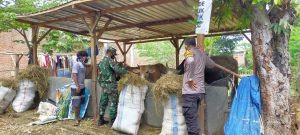 Duet Babinsa Bersama Babinkamtibmas Berikan Semangat Peternak Di Wilayah Binaanya