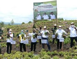 Menko Marves Luhut Panjaitan Sambut Positif Hasil Komoditas Food Estate Humbahas