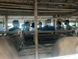 Hadir Dilotim, Wamen Pertanian RI Berjanji Akan Kembali Lagi