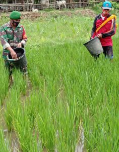 Danramil Koramil 1628-01/Taliwang Apresiasi Babinsanya Dalam Mendampingi Petani Di Wilayah Binaannya.