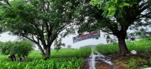 Status Tanah Agus Okak di Samota Tidak Masuk Dalam Kawasan Hutan