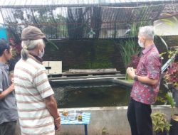 Camat Batulanteh Tak Menyangka Ikan Bioflok BIAT’KE Berkembang Pesat