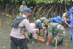 Sinergi TNI-Polri,Yonif 725/Woroagi Turut Serta Penghijauan dan Penguatan Pesisir Pantai