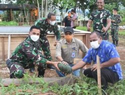Kabalitbangda Papua Barat Mengapresiasi Kodam XVIII/Kasuari Berinovasi Di Bidang Pertanian