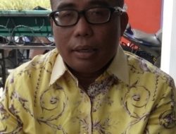 Wow!, Wijen Pulau Moyo Sumbawa Dieksport Keluar Negeri