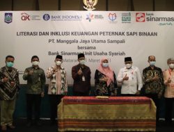 KUR dan Kemitraan Bagi Peternak Sapi NTB