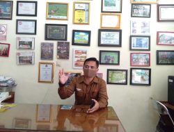 Dimasa Pandemi Covid 19, Perhutani Bandung Utara Tawarkan Wisata Healing Forest