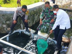 Hadapi Corona, Tiga Pilar Maksimalkan Sinergitas Bangun Kemitraan Ketahanan Pangan