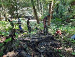 Satgas Pamtas Sektor Timur Bersama Masyarakat Mahen Hijaukan Hutan Dengan Reboisasi