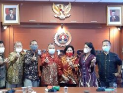 Ketum PWI Pusat Sambut Baik Webinar Pemanfaatan FABA untuk Pembangunan