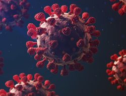 Perkembangan Covid-19 Kabupaten Sumbawa 30 Mei 2021