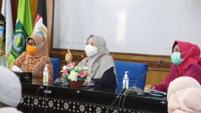 Ummi Rohmi : Posyandu Keluarga Solusi Permasalahan Perempuan dan Anak