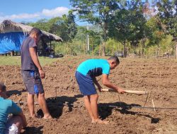 Kipur III Budidayakan Buah Semangka Dengan Masyarakat Dafala