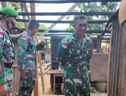 Satgas Pamtas RI-RDTL Sektor Timur Garap Program Semenisasi