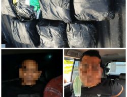 Bawa Sabu 25 kg, Oknum Anggota DPRK Bireun diciduk BNN