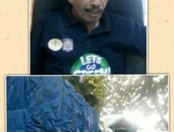 Upz!, Petugas Kehutanan Amankan Tiga Truck Angkutan Kayu