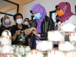 Potensi Industri Pencucian Sarang Walet di NTB, Bunda Niken: Tingkatkan Nilai Ekspor