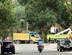 Wahana Lingkungan Hidup (WALHI) Sumatera Utara, Pertanyakan Penebangan Pohon Pelindung Jalan Oleh Pemkab Batubara.