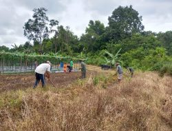 Bantu warga berkebun Satgas Pamtas RI-Malaysia Yonif 144/JY desa sebindang.