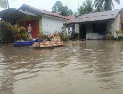 Hujan Deras Semalaman Tujuh Dusun Di Desa Petatal Tergenang Banjir