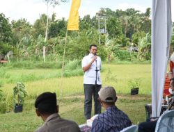 Gubernur NTB Berharap Metode Tanam Padi sistem SRI dan Jarwo, Tingkatkan Produksi Petani