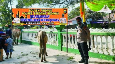 Sambut Idul Adha 1442H, Polsek Firdaus Sergai Laksanakan Pemotongan Qurban