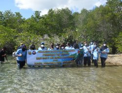Kolaborasi Dengan IBF, Lanud ZAM Gelar Penanaman Mangrove
