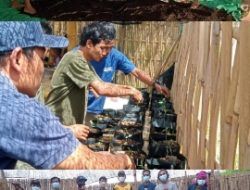KKN UNRAM Sukses Buat Pupuk Kompos Gerisak Semanggeleng