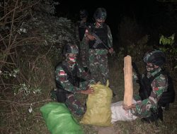 Satgas Pamtas RI-RDTL Sektor Timur Kembali Amankan BB Selundupan Kayu Cendana