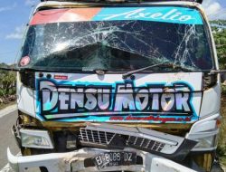 Olenk Akibat Hindari Sapi Sebuah Truck Tabrak Pohon