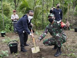 Presiden RI Bersama Masyarakat Gelar Penanaman Puluhan Ribu Bibit Pohon Kayu Putih di Bukit Pepe Loteng