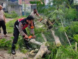 Kapolsek Praya Tengah Bersam Anggota Personil Evakuasi Pohon Tumbang Di jalan Raya