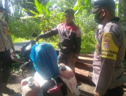 Jelang Matal & Tahun Baru Polsek Lingsar Operasi Miras Jenis Tuak