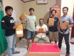 Tim Opsnal Satresnarkoba Polres Dompu Amankan  Ganja 2.816 Kg