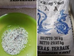 Busyet.!! Warga Desa Simpang Dolok Terima Beras BPNT Tak Layak Konsumsi