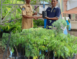 Anggota DPR RI Beri Bantuan 100 Bibit Pohon Kelengkeng Bagi SAE Ai Maja Lapas Sumbawa Besar
