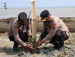 Kapolres Serdang Bedagai Tanam Pohon Mangrove di Pantai Merdeka