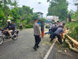 Kapolsek  Batukliang Pimpin Langsung Evakuasi pohon Tumbang