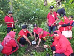 Rayakan HUT Partai & Ibu Mega, PDIP NTB Isi Dengan Menanam Pohon