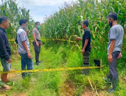 Polisi temukan TF Meninggal di Kebun Jagung