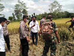 Polisi Amankan Lokasi Temuan Tengkorak Manusia di Desa Darmaji