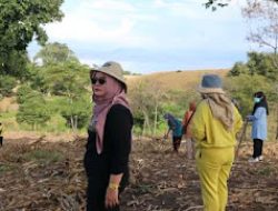 Gotong-Royong Pembersihan Lahan MXGP Samota, Ini Kata Wabup Novi!
