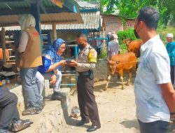 Kasus PMK di Lombok Tengah, Polisi Bantu Pemerintah Tangani Kasus