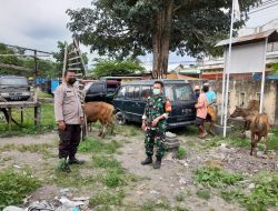 Antisipasi PMK Pada Hewan Ternak, Pasar Hewan Selagalas Ditutup Sementara